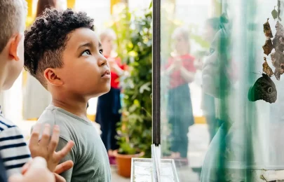 Agenda Infantil: Lisboa veste-se de diversão